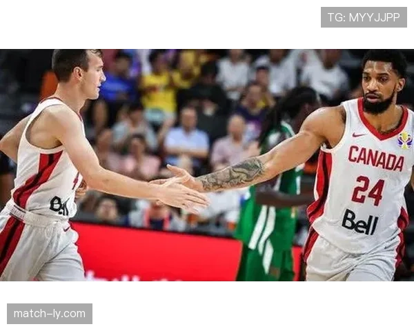 篮球干扰球国际规则差异解析：FIBA规则的独特之处